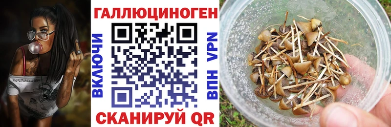 Псилоцибиновые грибы мухоморы  даркнет сайт  Козьмодемьянск 