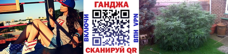 магазин Козьмодемьянск Канабис ГИДРОПОН